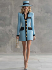 Vintage Classic V-neck Front Metal Button Black Trim Sky Blue Tweed Mini Dress