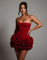 SCARLETTE Corset & Rose Mini Dress Set