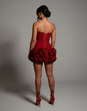 SCARLETTE Corset & Rose Mini Dress Set