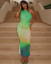 VAIDA Sleek One-Shoulder Maxi Dress