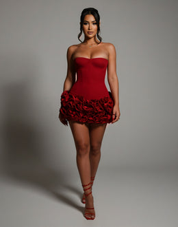 SCARLETTE Corset & Rose Mini Dress Set