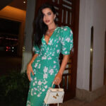 Summer V-Neck Party Dress with Puff Sleeves photo review